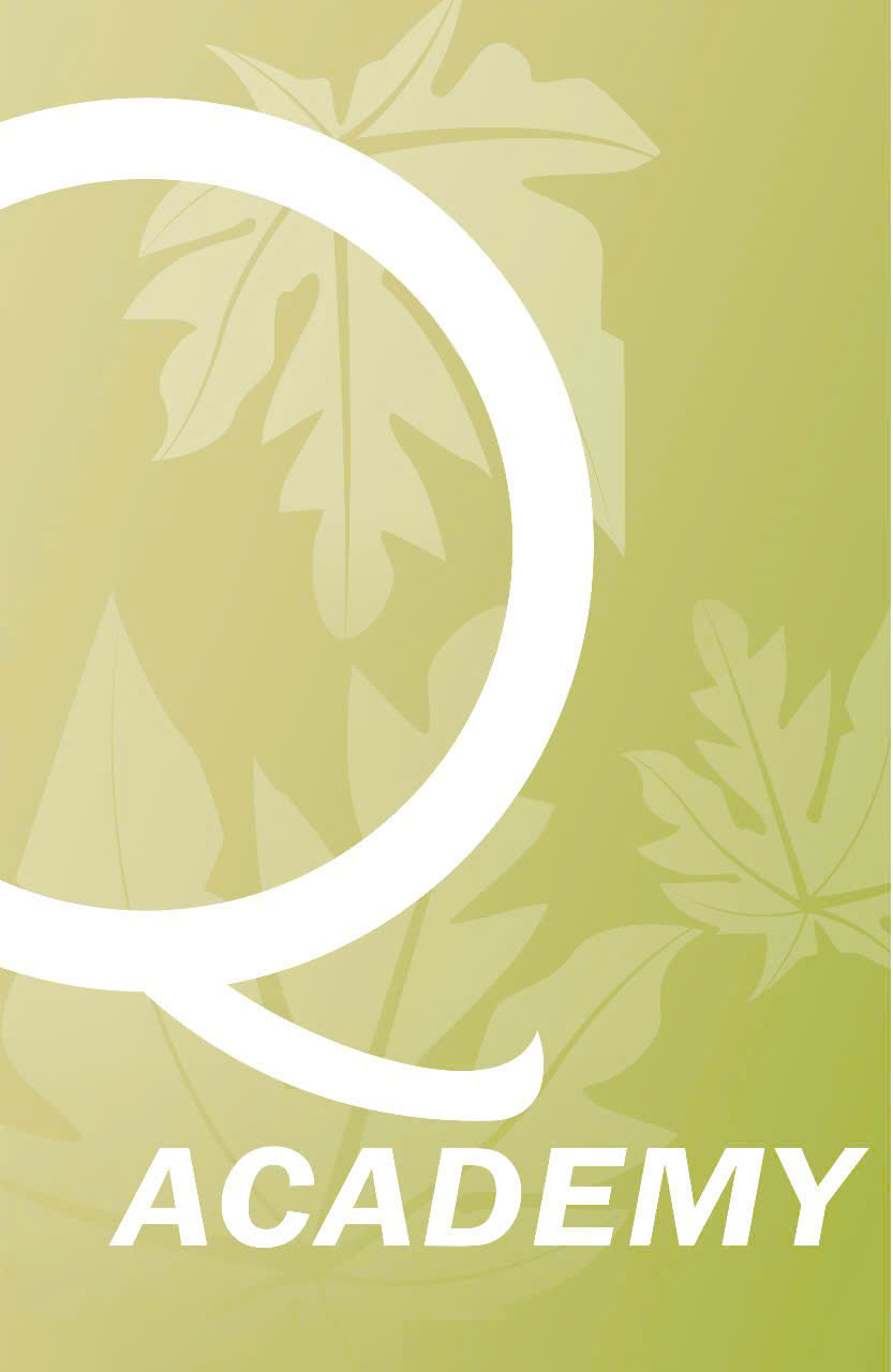 Q Academy